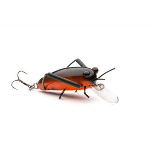 MEDIUM Wooden DM Cricket Lures Black-Orange