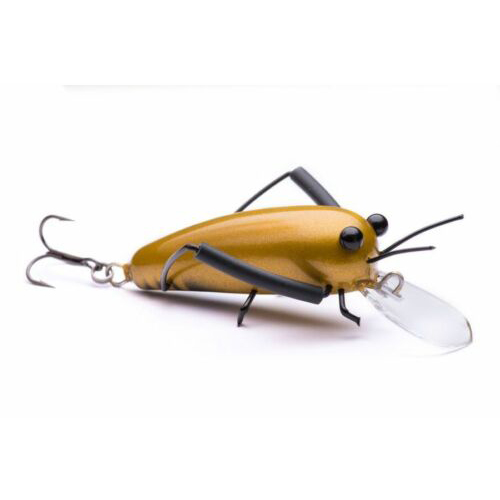 BIGGER Wooden DM Cricket Lures Gold DM Cricket Lures